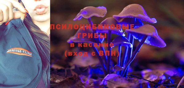 гидропоника Алзамай